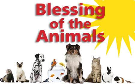 BLESSING of the ANIMALS on Sunday, October 5 from 1 - 2pm